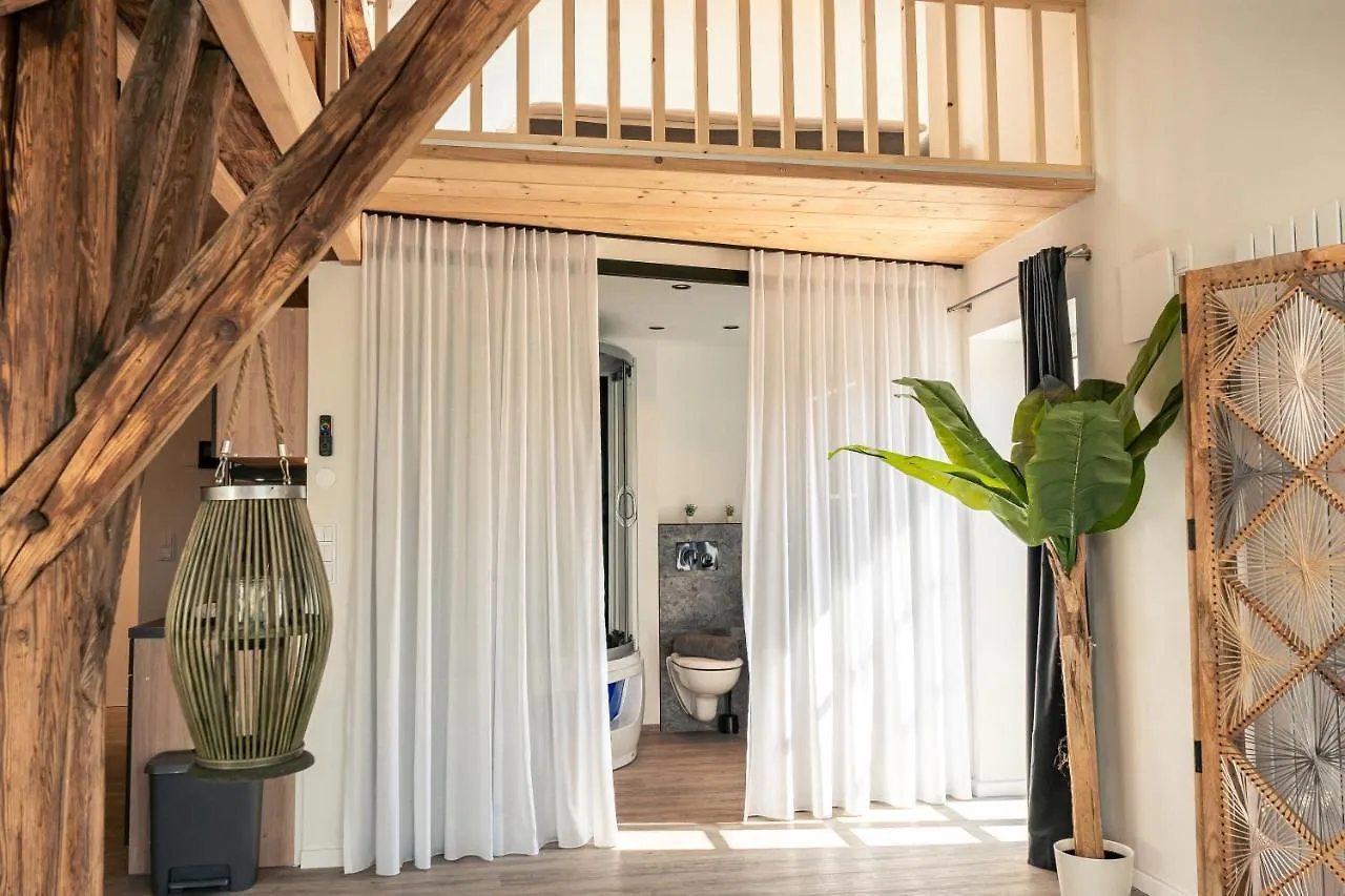 Crest - Riverside Lofts Mit Parken I Balkon I Kueche I Regendusche Passau Apartment